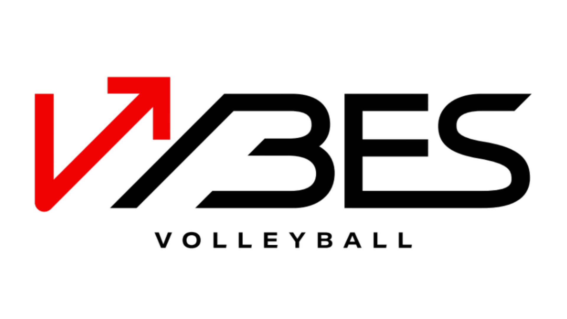 VIBES VOLLEYBALL